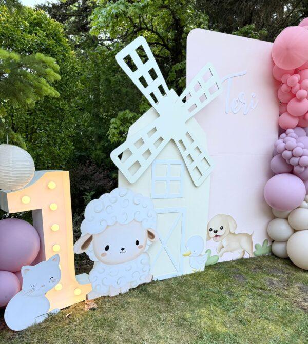 Fotostena balony