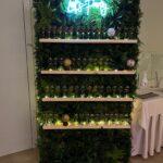 balonove vyzdoby fancyagency